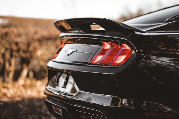 Casino Mr Slot Application Android/iOS